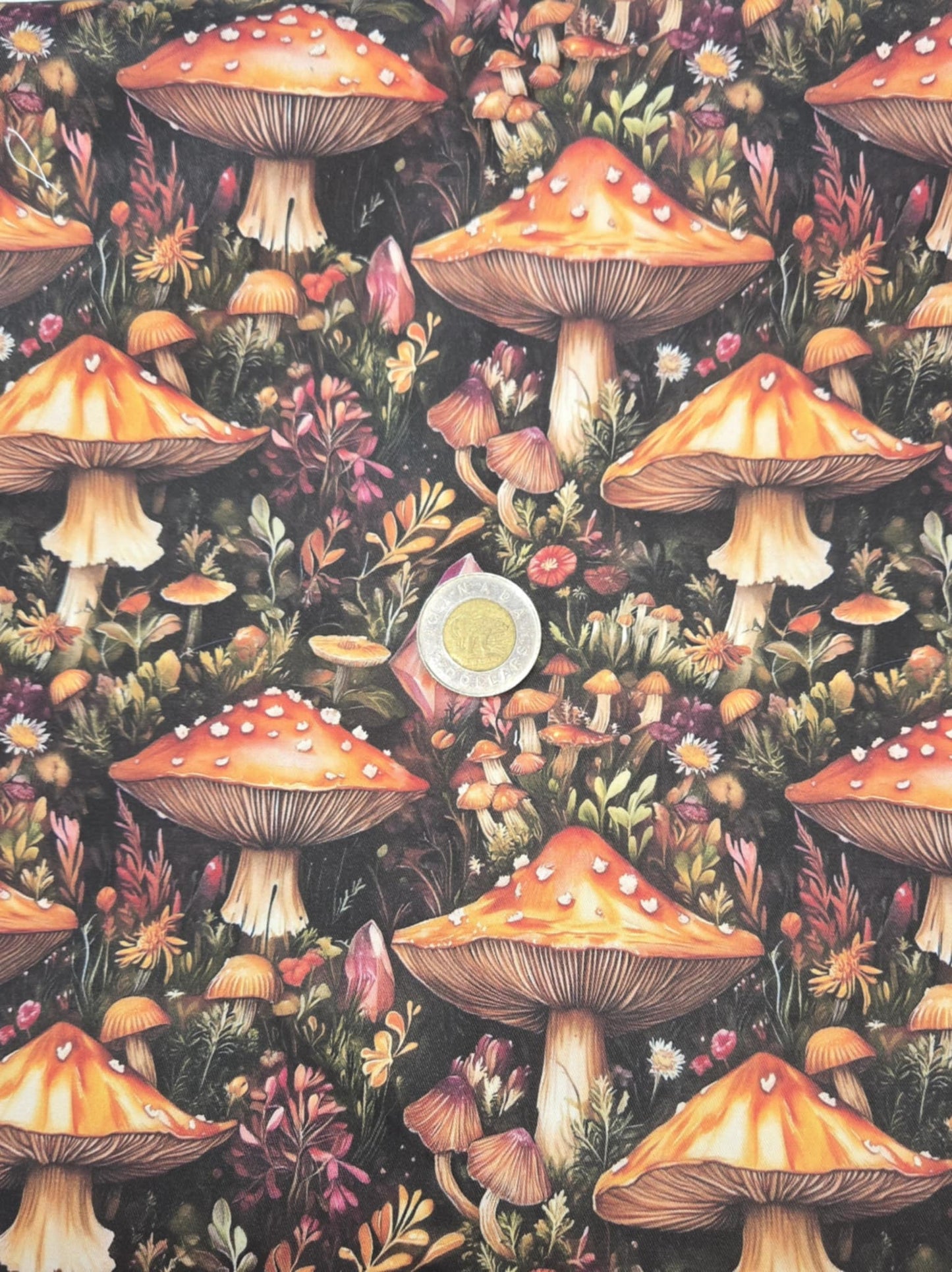 Linge à vaisselle - Champignons