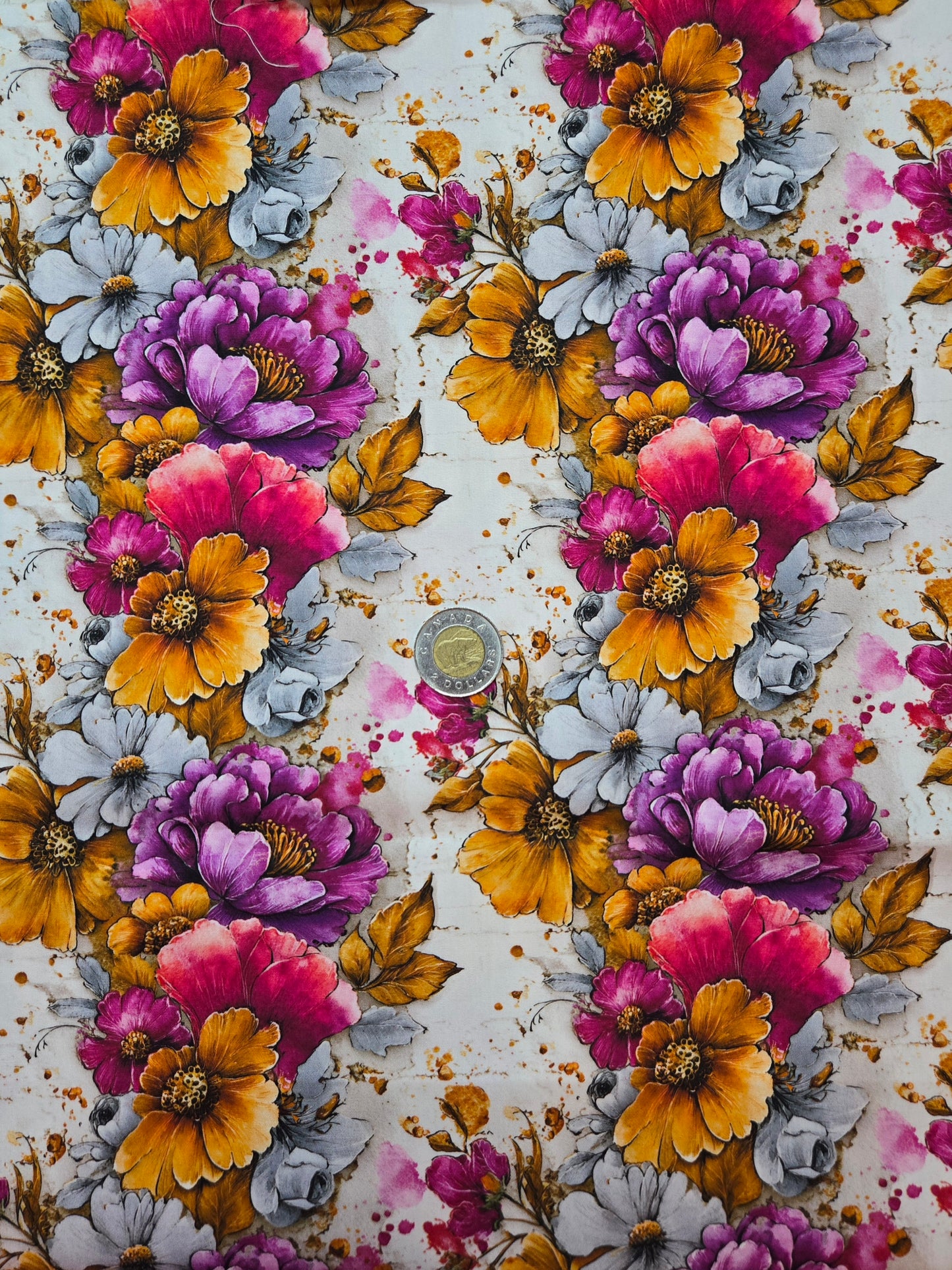 Coton - fleur