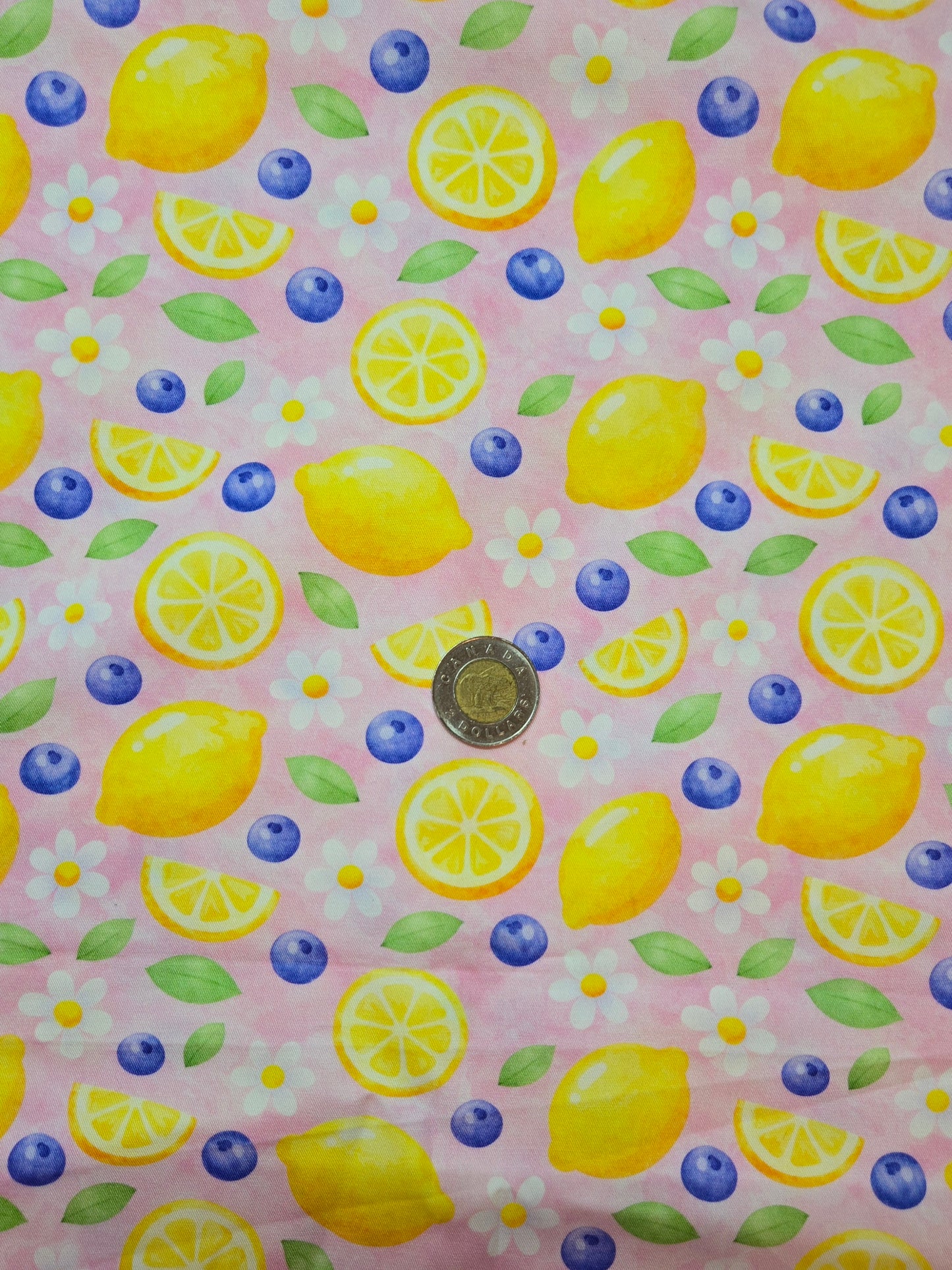 Coton - citron et bleuet