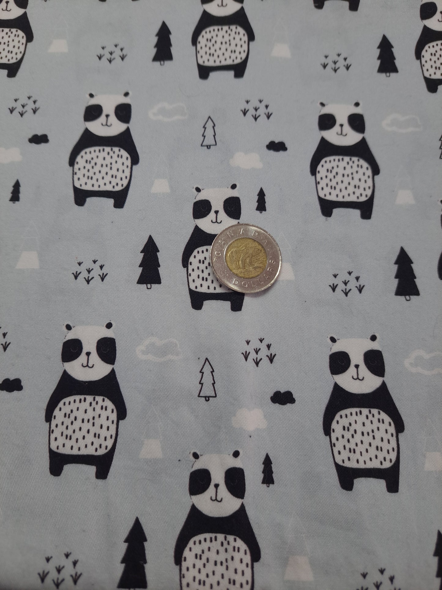 Tissus - 100% Coton/ Canevas