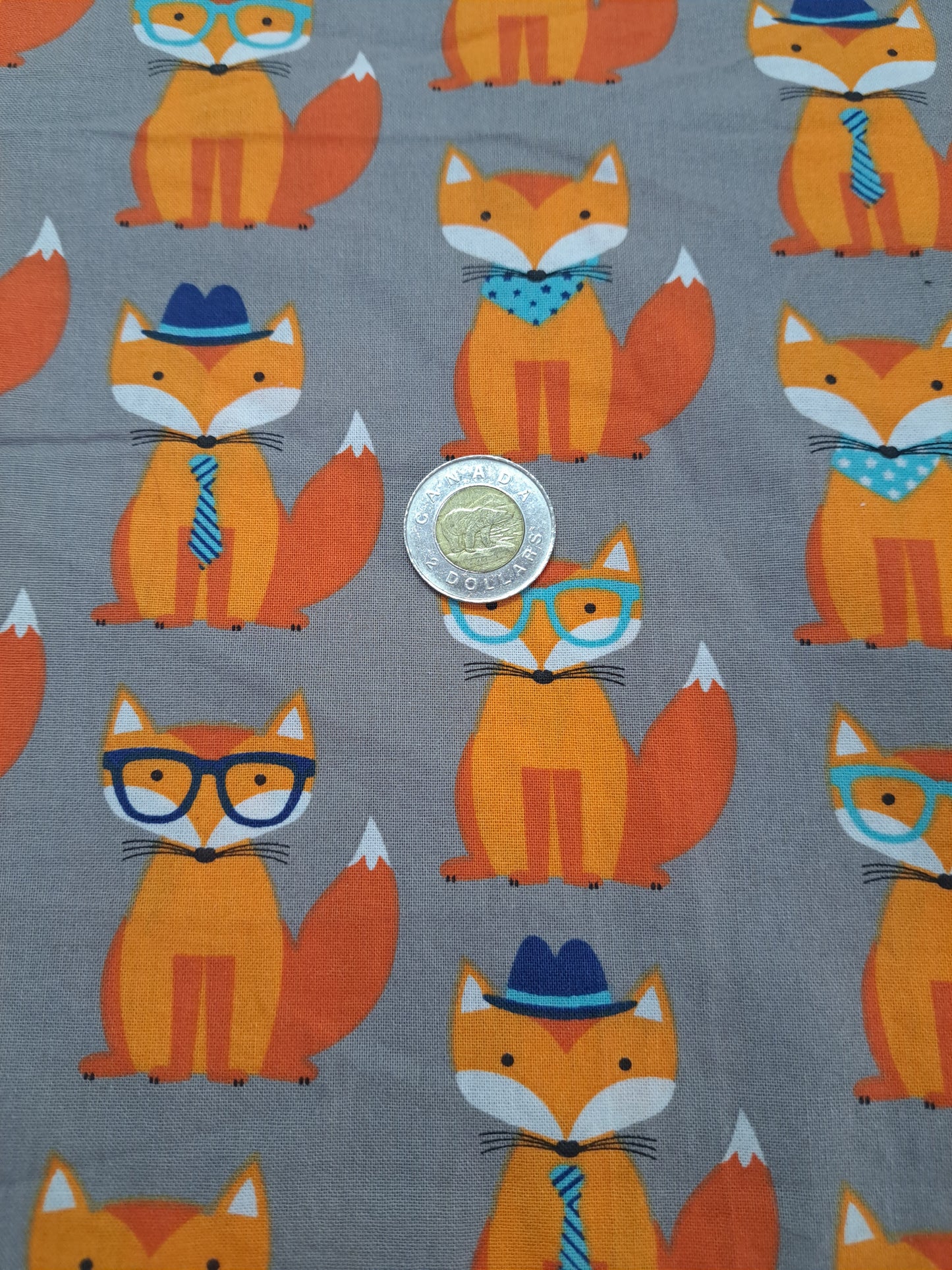 Tissus - 100% Coton/ Canevas