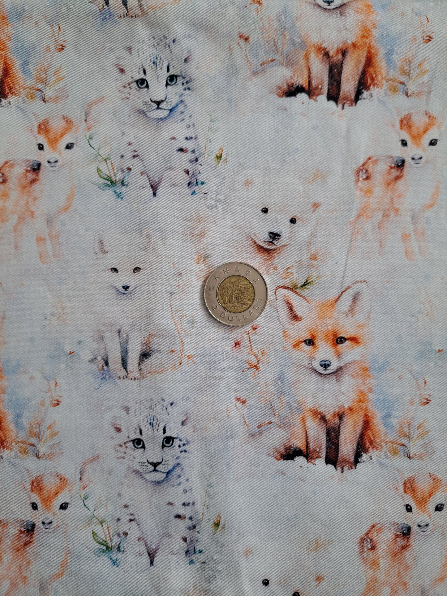 Tissus - 100% Coton/ Canevas